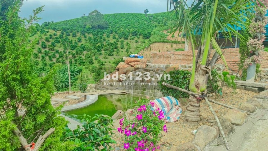thiên đường nghĩ dưỡng đồi con voi đường phạm hồng thái