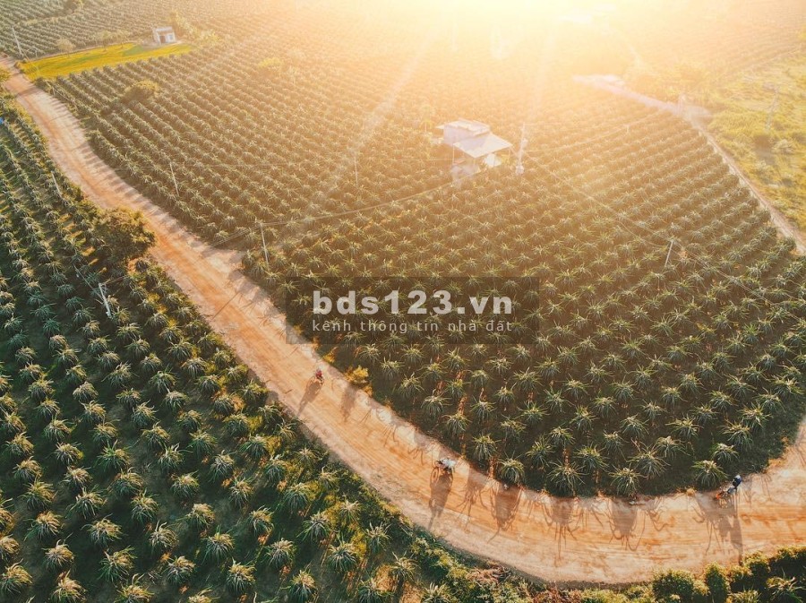 Cần bán 1hecta đất vườn gần khu du lịch biển Bàu Trắng, DT716, mặt tiền, sổ đỏ giá 1 tỷ 3