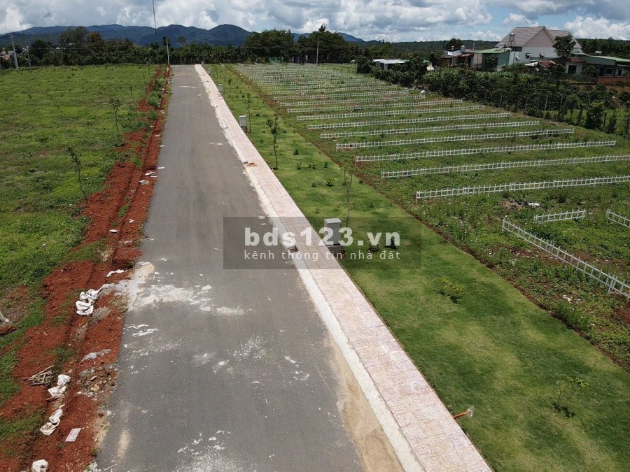 Bán gấp nền 290m2 ở Bảo Lộc sinh lời cực cao trả trước 70% Công chứng sang tên ngay
