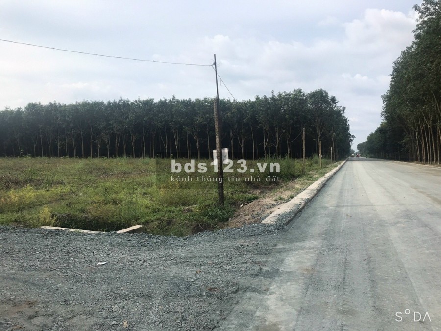 Chính chủ cần bán lô đất ấp 4 Minh Hưng Chơn Thành Bình Phước. Sát đường lớn giá lại rẻ hơn thị trường 100tr