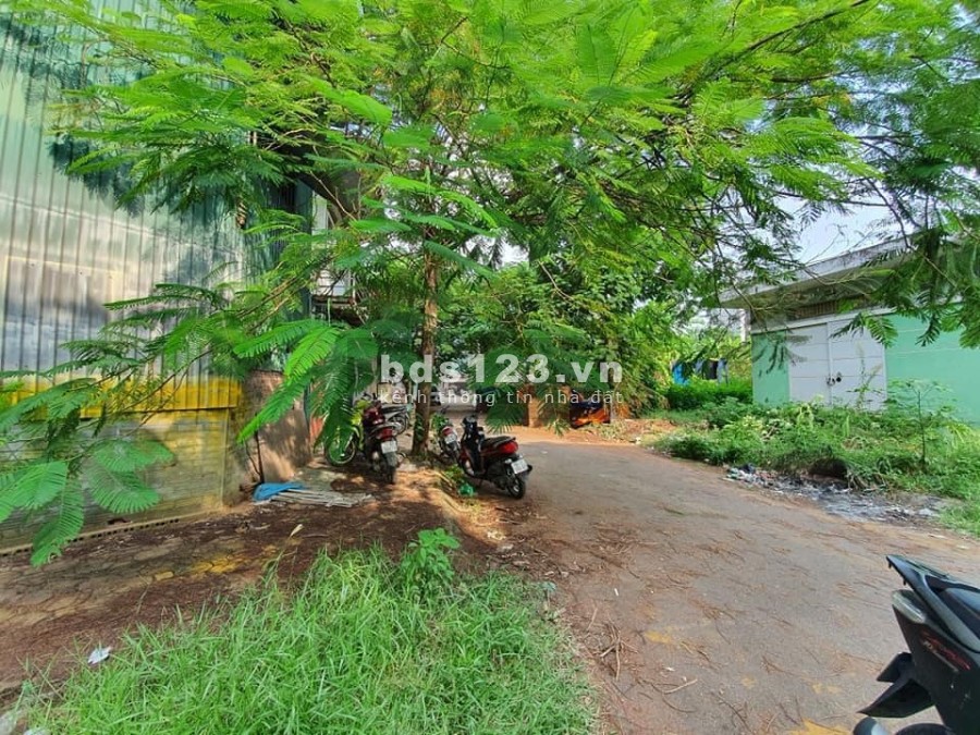 Phân lô góc 2 mặt thoáng ơi tối tránh , kinh doanh tốt - vỉa hè đá bóng