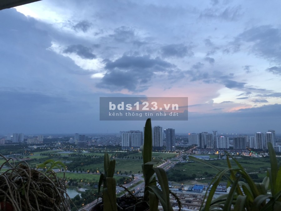 Cần cho thuê căn hộ chung cư 6th Element đầy đủ tiện ích, nội thất, giá tốt môi trường sống yên tĩnh