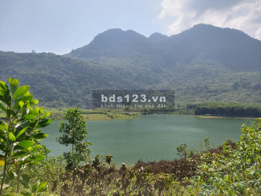 Siêu phẩm hồ trong núi S=1,4ha bám sát hồ tằm dài 200m có thổ cư
