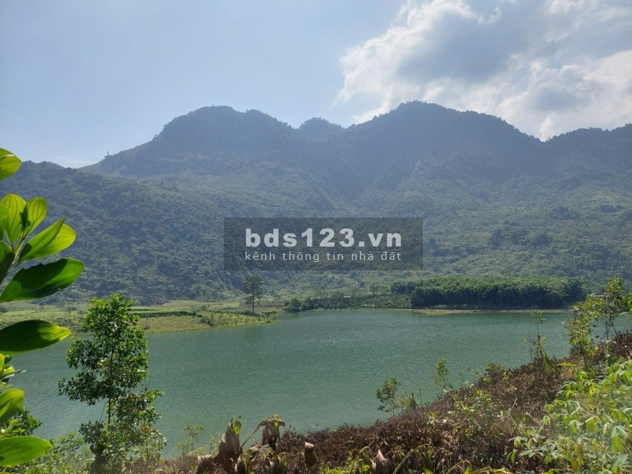 Siêu phẩm hồ trong núi diện tích sử dụng 1,4ha bám sát hồ tằm có thổ cư giá bán 6.4 tỷ