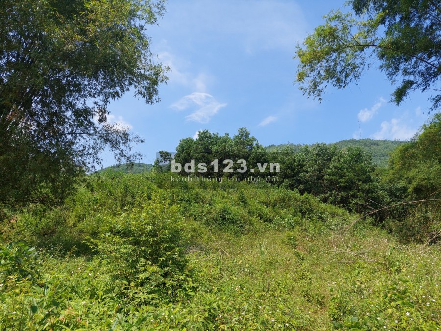 Siêu phẩm hồ trong núi S=1,4ha bám sát hồ tằm dài 200m có thổ cư
