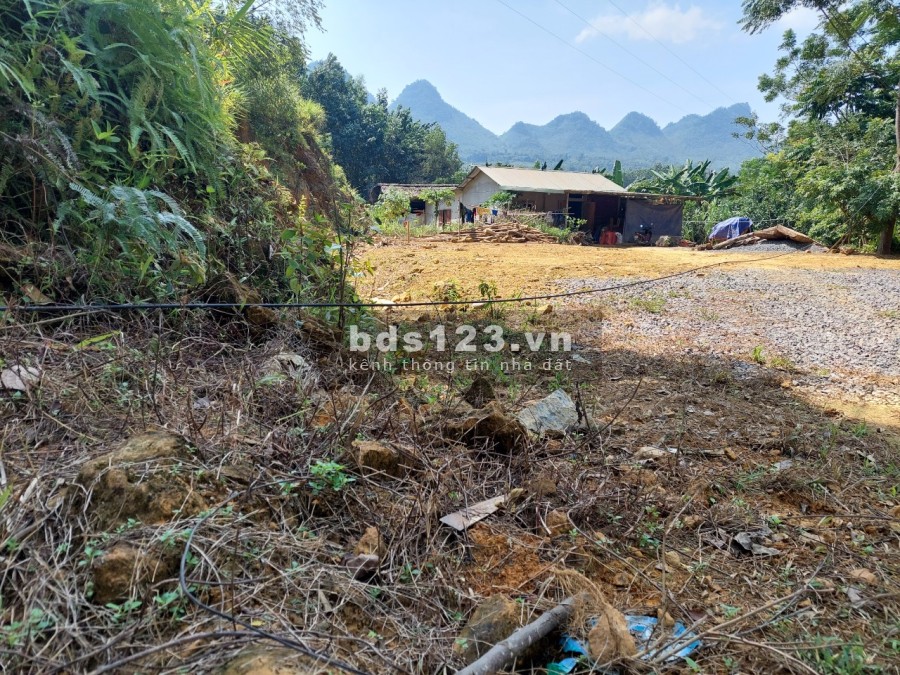 Siêu phẩm hồ trong núi S=1,4ha bám sát hồ tằm dài 200m có thổ cư