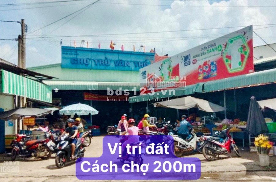Chuyên phân phối đất nền giá dẻ tại Bàu Bàng, sổ hồng riêng từng nền, thổ cư 100%