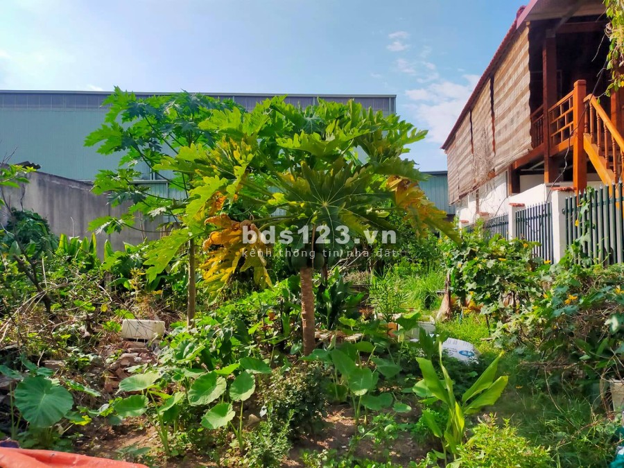 Bán nhà Xuân Thiều Long Biên dtsd 120m2, đất mt 6m, đầu tư đỉnh, thông số vàng, ngõ thông, giá chỉ 5.8 tỷ