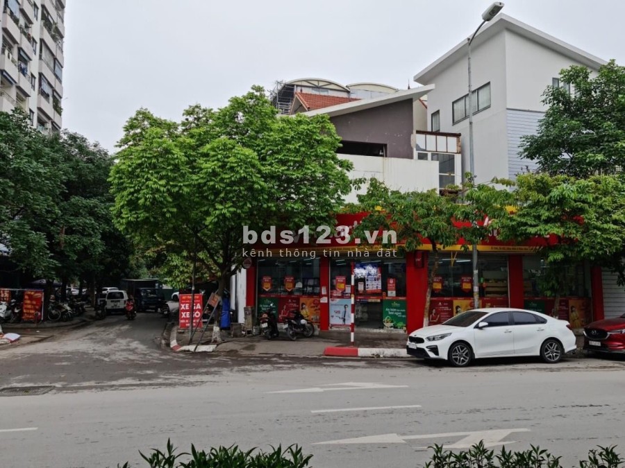 Biệt Thự MẶT PHỐ Bán Đảo Linh Đàm Kinh Doanh Đỉnh