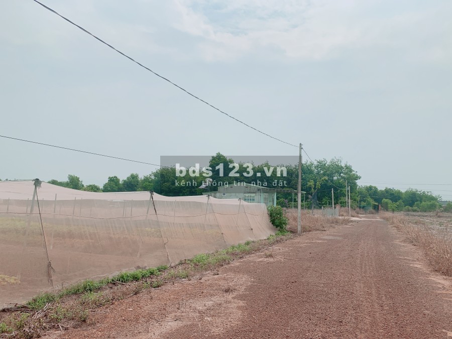 Tôi cần bán gấp miếng đất sào ngay sau KCN Minh Hưng Hàn Quốc Chơn Thành Bình Phước