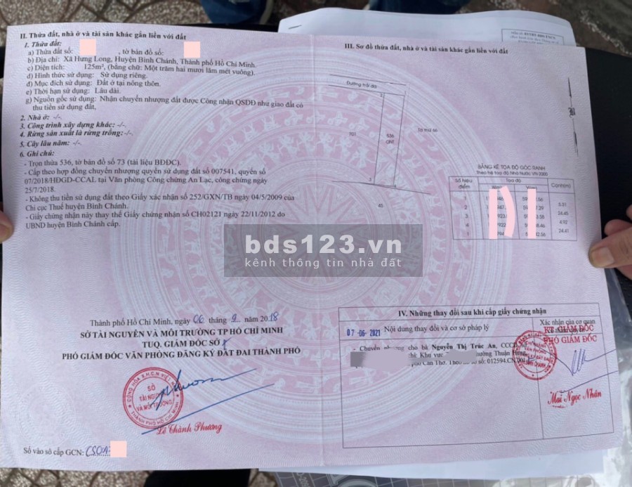 Đất nền Bình Chánh gần bên Nguyễn Văn Linh và Quốc Lộ 1A, sổ hồng riêng