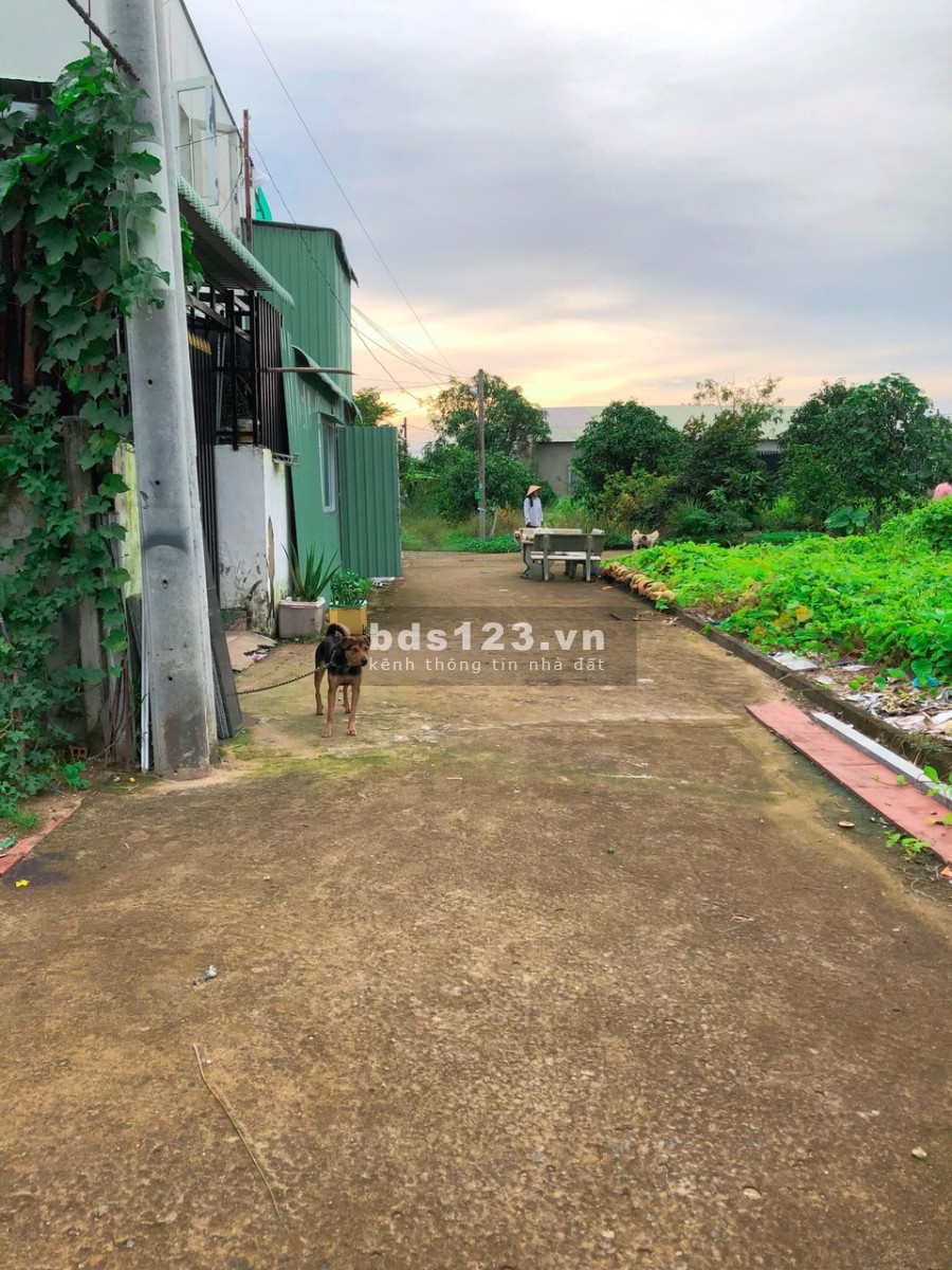 Đất nền Bình Chánh gần bên Nguyễn Văn Linh và Quốc Lộ 1A, sổ hồng riêng