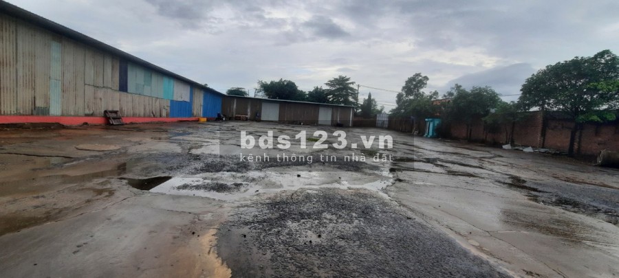 *Cho thuê đất trống*2.500m2 Đường 11 Quận 9 TP.HCM