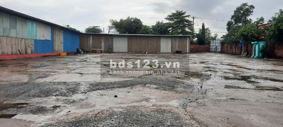 *Cho thuê đất trống*2.500m2 Đường 11 Quận 9 TP.HCM