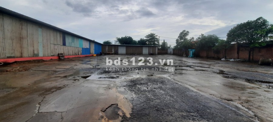 *Cho thuê đất trống*2.500m2 Đường 11 Quận 9 TP.HCM