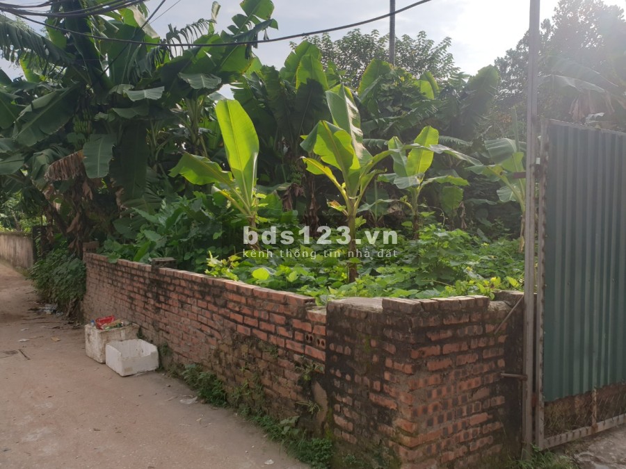 Tôi bán đất giá rẻ ở Thúy Lĩnh, Hoàng Mai, SĐCC RB, chỉ 1.4 tỷ
