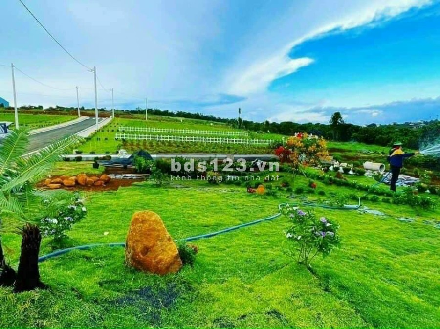 Cối Xay Gió Hà Lan có mặt tại Panamera checkin cực chill