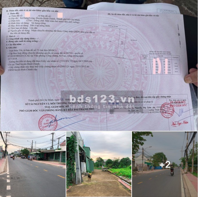 Đất nền Bình Chánh gần bên Nguyễn Văn Linh và Quốc Lộ 1A, sổ hồng riêng