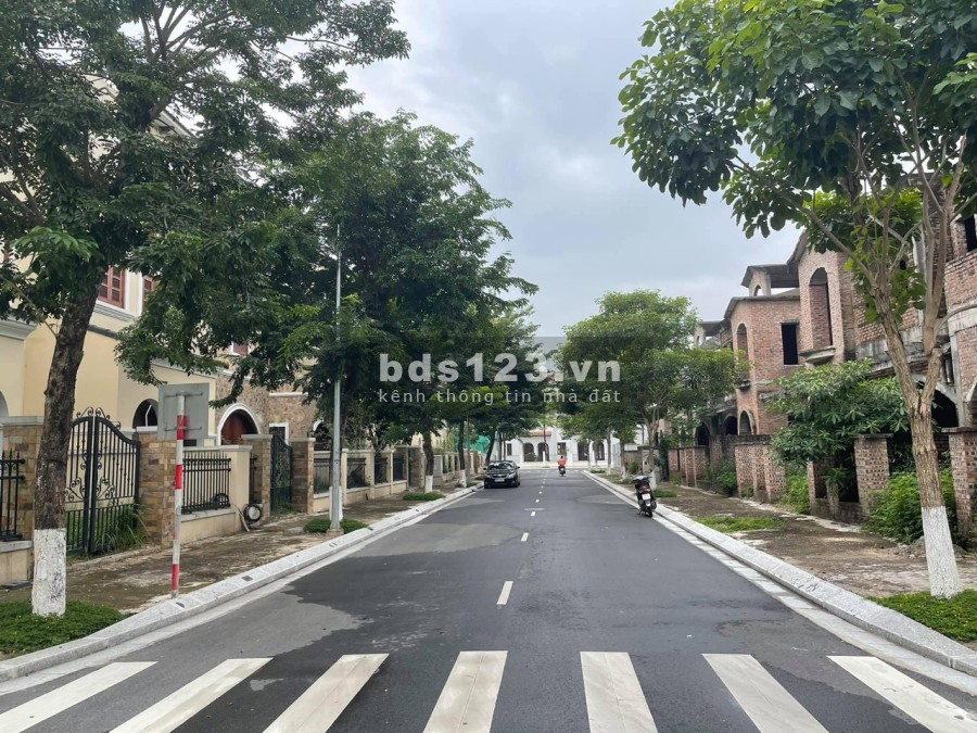 Cần Bán Gấp Trong Tuần Căn Biệt Thự Dự Án Nam An Khánh Giá Đầu Tư