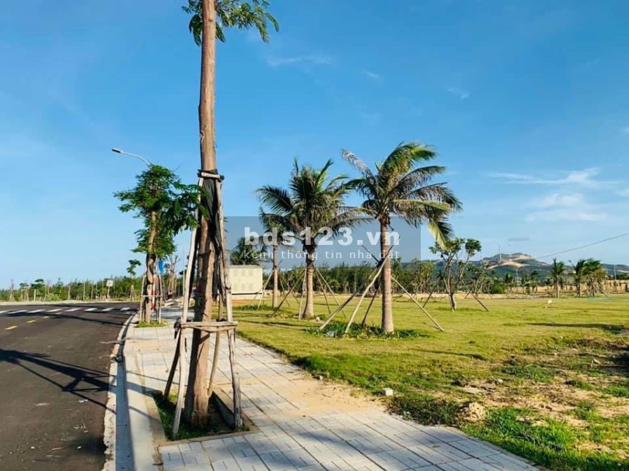 Nhận Booking Dự An Nhơn Hội New CiTy Phan Khu 2,4,9