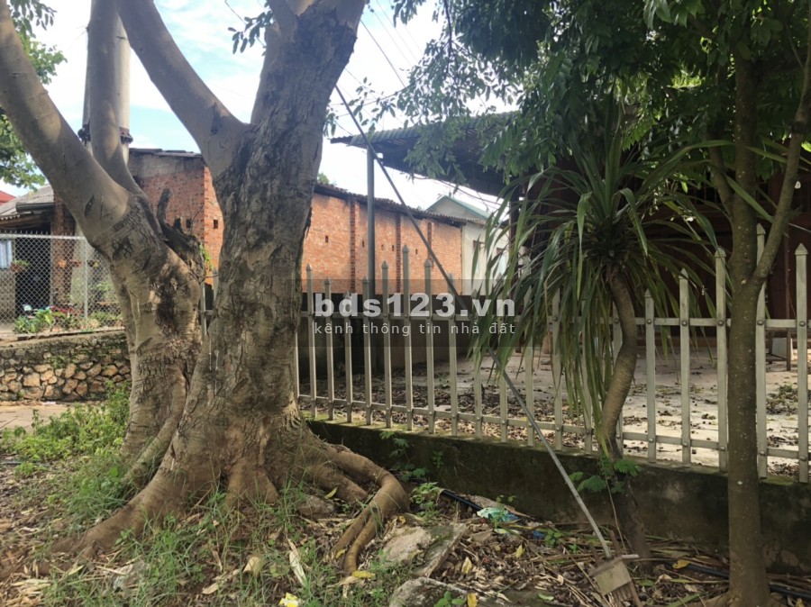 BÁN ĐẤT MỘC CHÂU,MẶT ĐƯỜNG ,SẴN NHÀ GỖ,THỔ CƯ RỘNG,SỔ ĐỎ AN TOÀN,SANG TÊN NHANH CHÓNG.