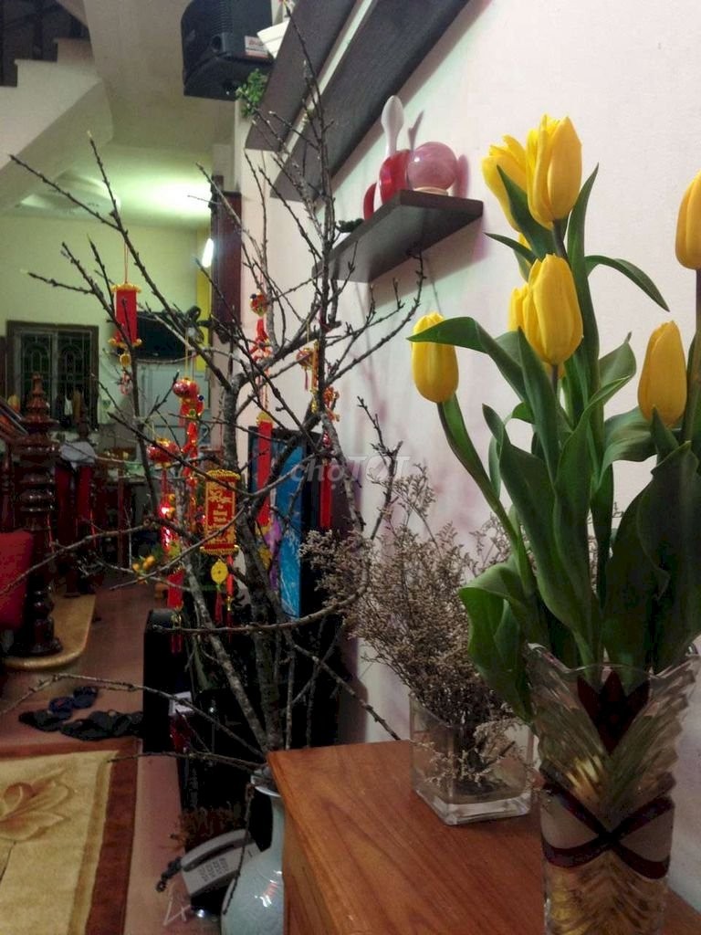 Cho thuê nhà nguyên căn 40m2 x 4 tầng tại Số 3 ngách 172/46/57 Âu Cơ ,Tây Hồ.