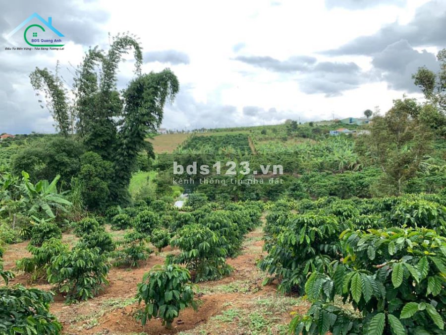 Bán thửa đất tại trung tâm TP. Bảo Lộc, phường Lộc Tiến 13.100m2 134 Phố Phùng Hưng