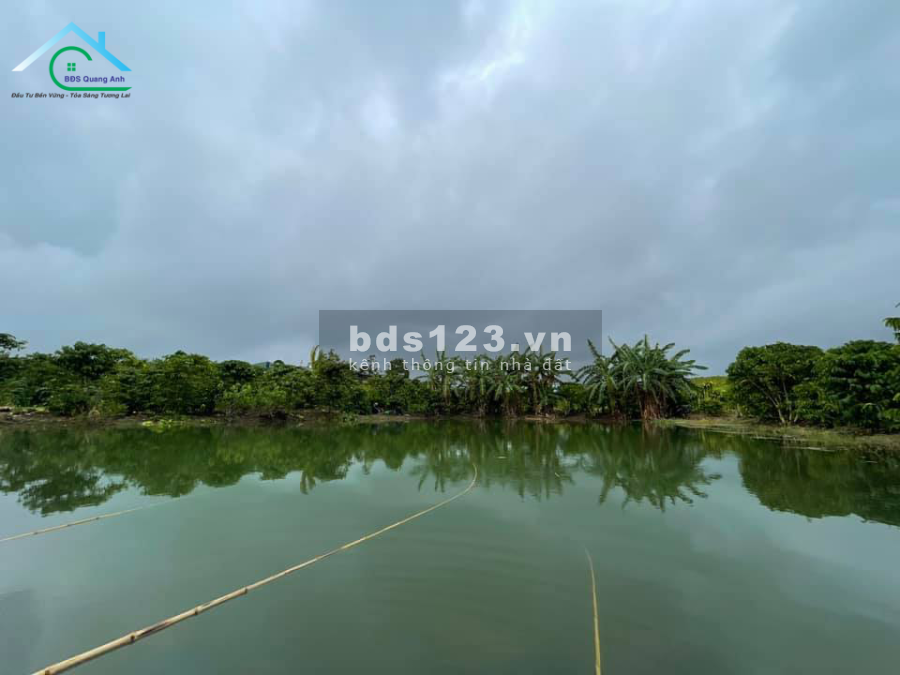 Bán thửa đất tại trung tâm TP. Bảo Lộc, phường Lộc Tiến 13.100m2 134 Phố Phùng Hưng