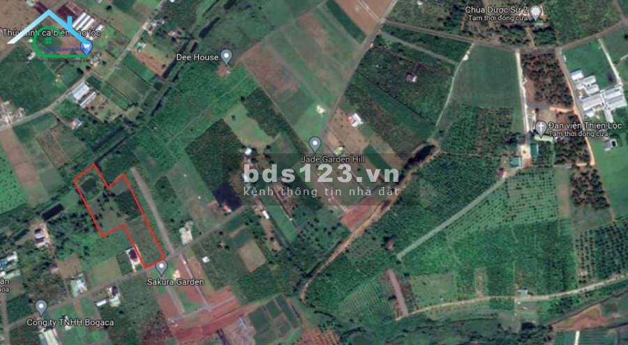 Bán thửa đất tại trung tâm TP. Bảo Lộc, phường Lộc Tiến 13.100m2 134 Phố Phùng Hưng