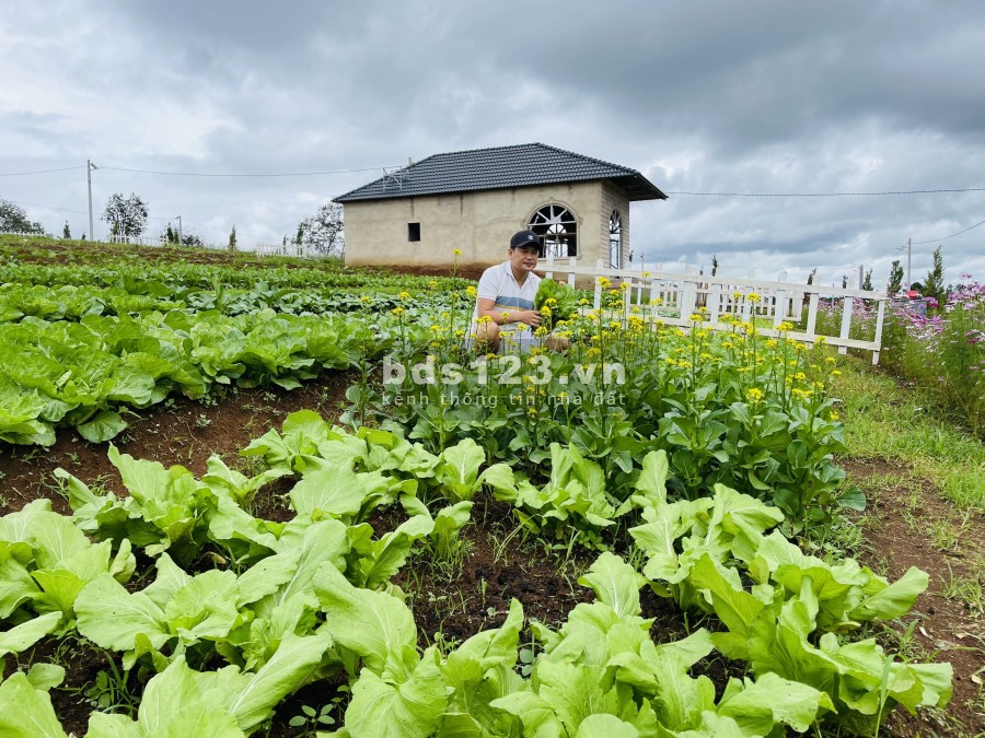 ĐẤT NỀN VIEW ĐỒI SĂN MÂY BẢO LỘC - LỘC AN