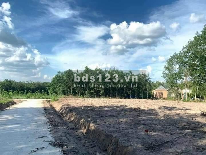 Cần bán nhanh lô góc 2 mặt tiền thuộc ấp 5 Minh Thành Chơn Thành Bình Phước. Sát đường liên huyện Dh01