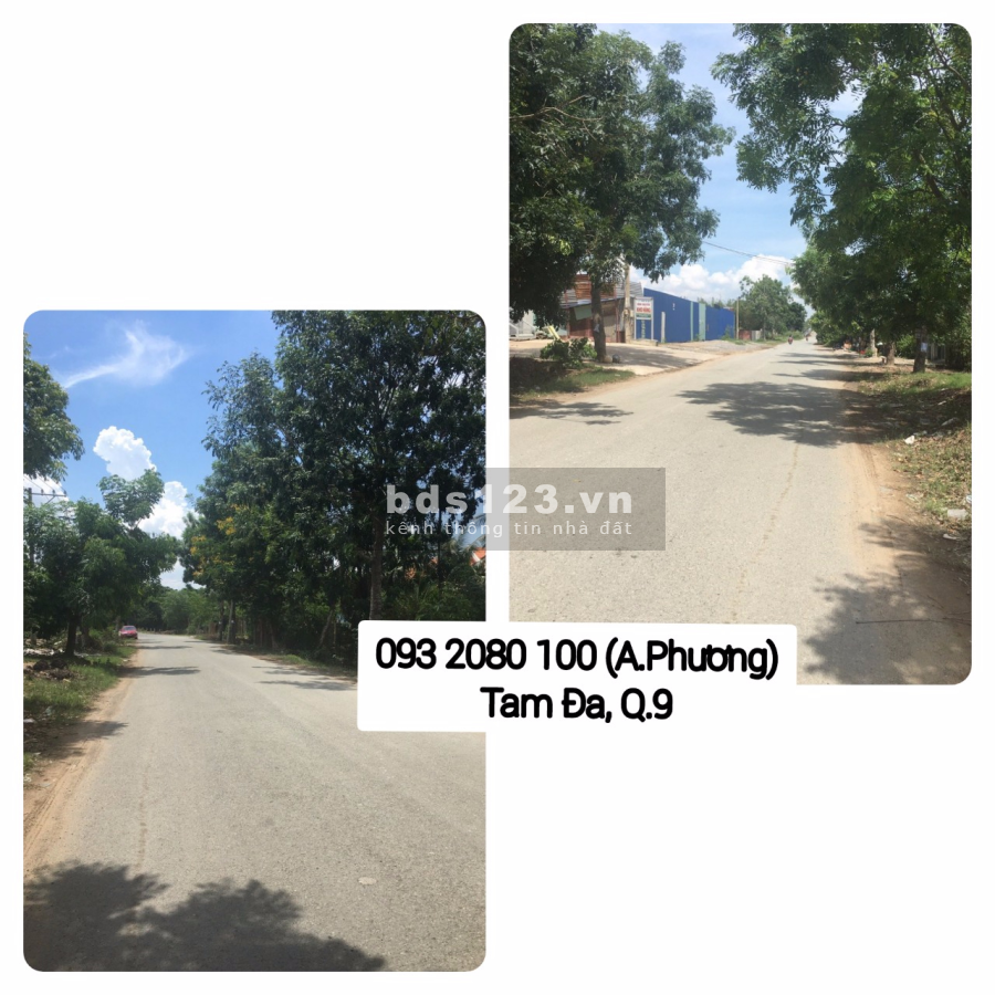 Cho thuê đất mặt tiền đường Tam Đa, phường Trường Thạnh, Quận 9