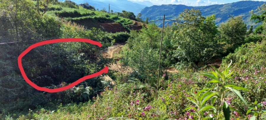 Bán mảnh đất view săn mây phù hợp xây homestay ở Y Tý SaPa 2
