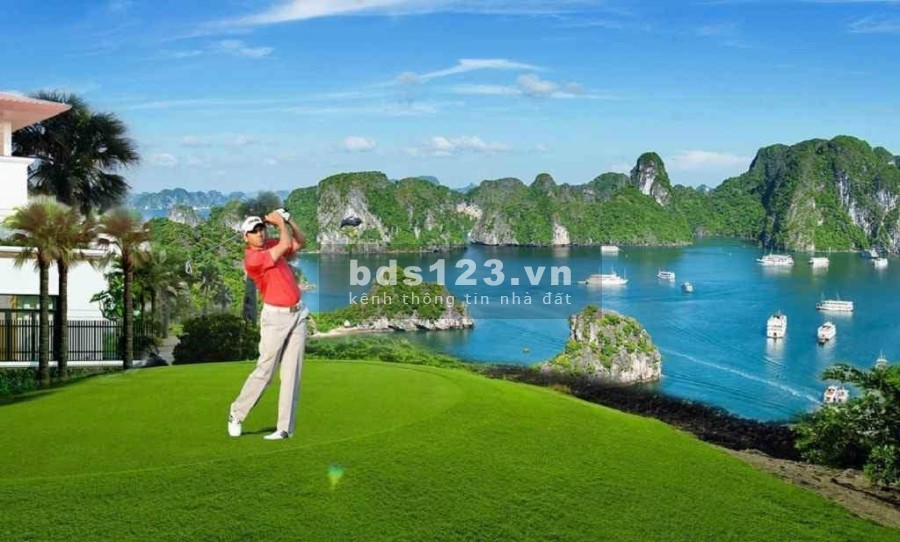ĐI TÌM CHỦ NHÂN CỦA CÁC BIỆT THỰ TRIỆU ĐÔ GIỮA TRUNG TÂM THÀNH PHỐ