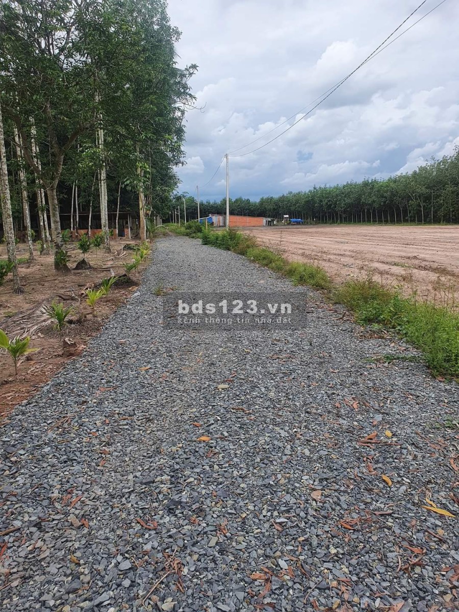 Đất đầu tư tiềm năng, cách nhựa 50m, gần khu công nghiệp chỉ hơn 300 triệu