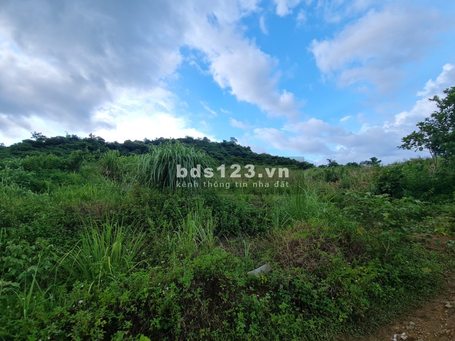 Giá rẻ bất ngờ cho 1 lô đất Full RXS 9160m View hồ Cạn Thượng - Cao Phong