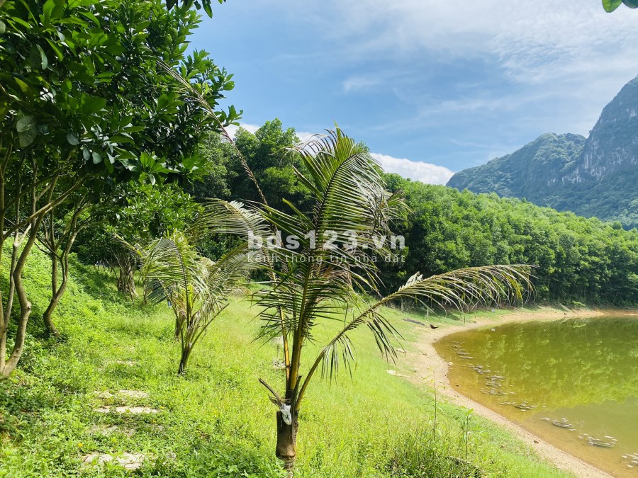 HƠn 5 tỷ có ngay siêu phẩm bám Hồ rộng 2,8ha đẹp mê ly ở Lạc Thuỷ- Hoà Bình