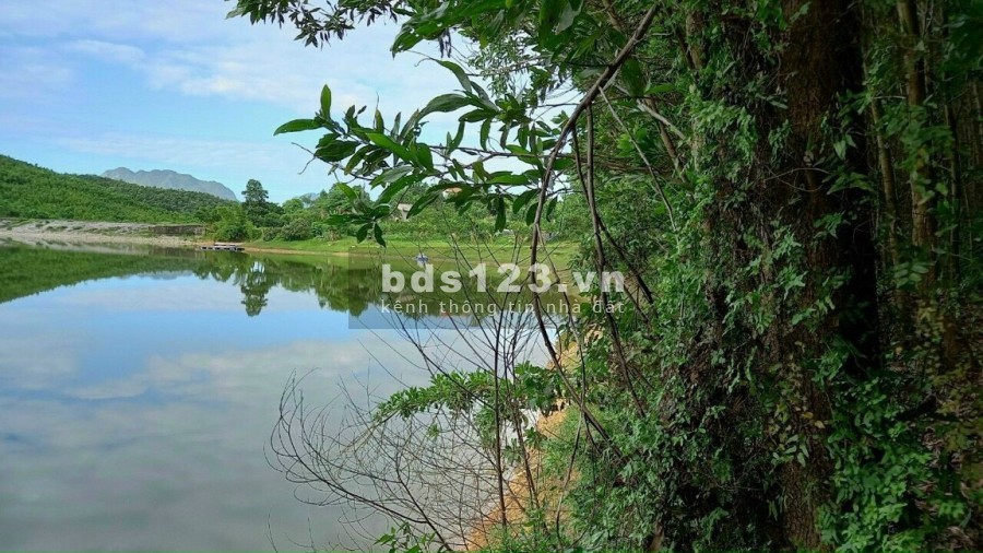 HƠn 5 tỷ có ngay siêu phẩm bám Hồ rộng 2,8ha đẹp mê ly ở Lạc Thuỷ- Hoà Bình
