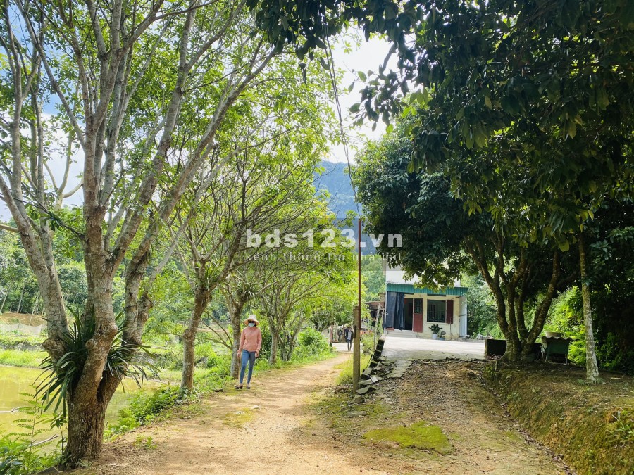 HƠn 5 tỷ có ngay siêu phẩm bám Hồ rộng 2,8ha đẹp mê ly ở Lạc Thuỷ- Hoà Bình