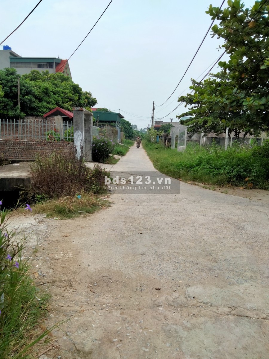 chính chủ cần tiền bán đất tại bắc sơn _ân thi _hưng yên