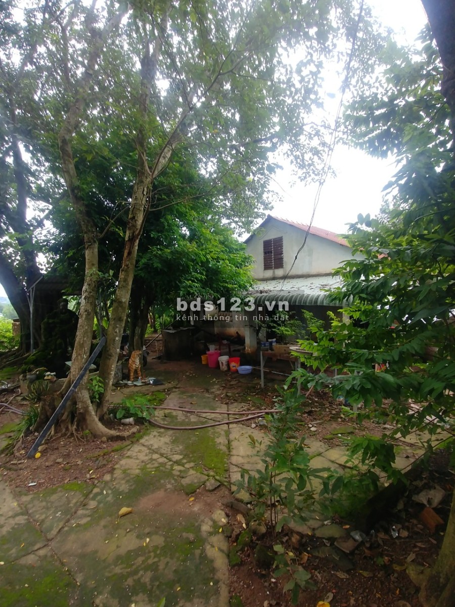 BÁN ĐẤT CÓ NHÀ CHÍNH CHỦ BÁN KHÔNG QUA CÒ ĐẤT GẦN TRƯỜNG HỌC