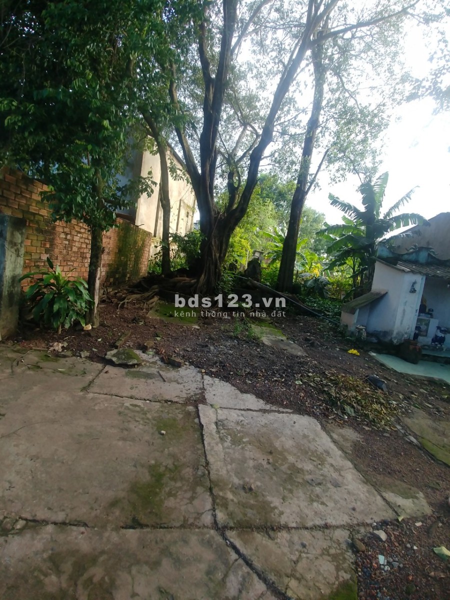 BÁN ĐẤT CÓ NHÀ CHÍNH CHỦ BÁN KHÔNG QUA CÒ ĐẤT GẦN TRƯỜNG HỌC