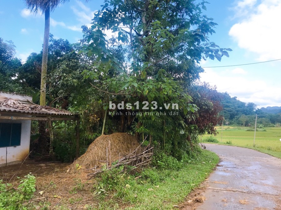 Cần bán lô đất diện tích sử 1257m2 có 400m thổ cư tại Tân Lạc Hòa Bình lh 0833066663