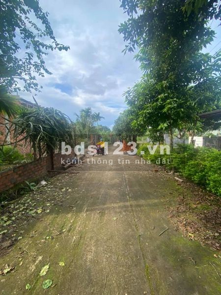 Lô đất 5x22m hẻm 98 Nguyễn Cơ Trạnh, Thành Nhất, BMT chỉ 820tr