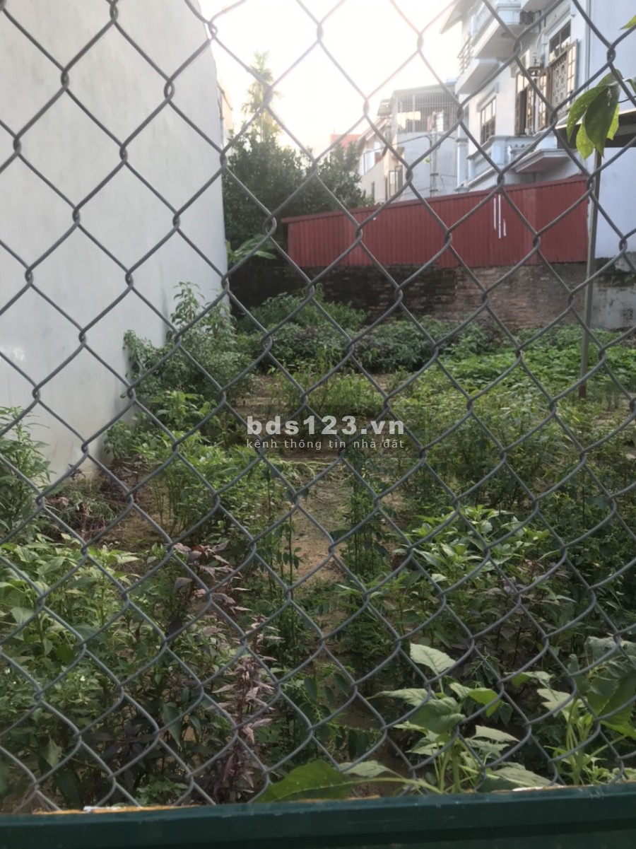 Bán đất khu Giãn dân Văn Quán, ô tô tránh, vỉa hè 40M2 giá 3,85 tỷ liên hệ chính chủ 0379283456