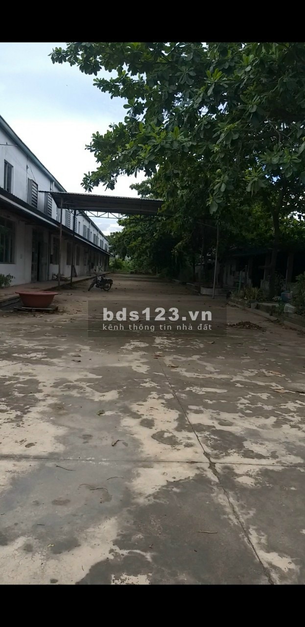 cho thuê hoặc bán nhà xưởng 8500m2 đầy đủ pháp lý tại thuận an, bình dương