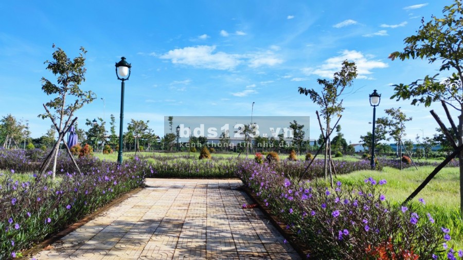 Đầu tư đúng thời chốt lời bạc tỉ pháp lý chính chủ, tiện ích đầy đủ hạ tầng hoàn thiện