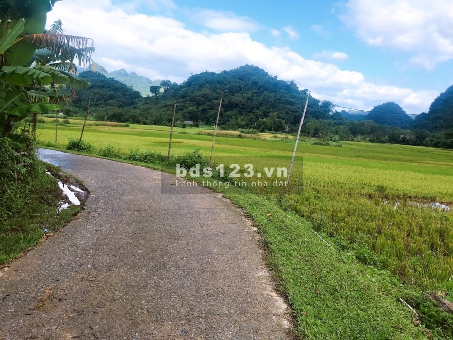 Cần bán lô đất diện tích sử 1257m2 có 400m thổ cư tại Tân Lạc Hòa Bình lh 0833066663