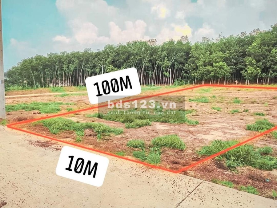 Bán lô đất giáp mặt tiền Quốc Lộ 13, gần trung tâm hành chính Bàu Bàng giá tốt đầu tư
