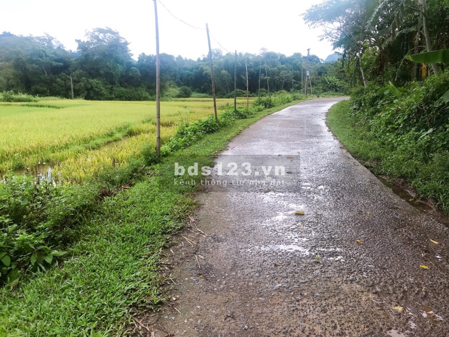 Cần bán lô đất diện tích sử 1257m2 có 400m thổ cư tại Tân Lạc Hòa Bình lh 0833066663